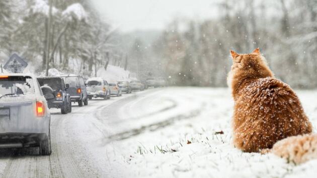 3191a80e9b5522a534d4b24d566a92b2 Економічні новини - головні новини України та світу