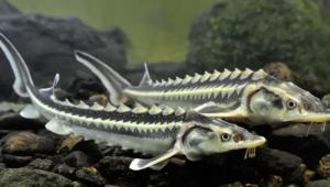 43 main v1757327735 Економічні новини - головні новини України та світу