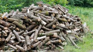 5w4ubxlllvvw9eicvoo34ss49u2f9nzx Економічні новини - головні новини України та світу