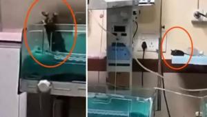 68bac2029f0fb68bac2029f0fc175706 Економічні новини - головні новини України та світу