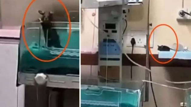 68bac2029f0fb68bac2029f0fc175706 Економічні новини - головні новини України та світу