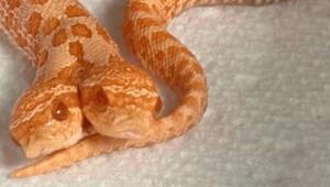 847d0fe294fcf6cae0ee4b0761bff563 1 Економічні новини - головні новини України та світу