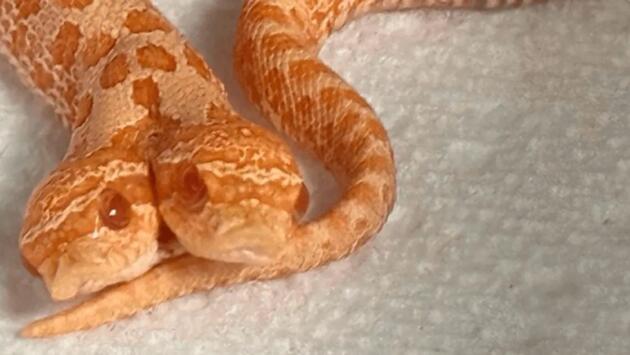 847d0fe294fcf6cae0ee4b0761bff563 1 Економічні новини - головні новини України та світу