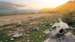 8dd32ed00d3b96f9b846591c6a215962 Економічні новини - головні новини України та світу