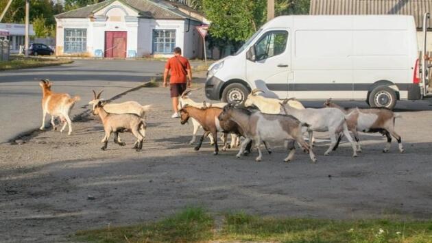 94 main v1758448673 Економічні новини - головні новини України та світу