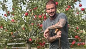 9e4fd1ce5fe2a4d91cc9252e8137795a 1 Економічні новини - головні новини України та світу