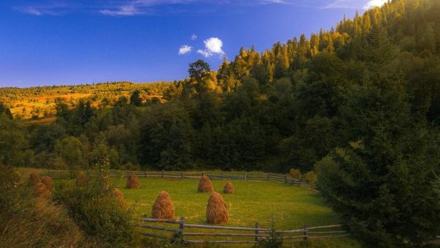 c2c97b95b5b379687e14964a5d151d9a Економічні новини - головні новини України та світу