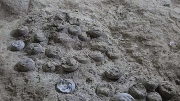 db2ebf100f517b8e53b75599d1c2b2c8 Економічні новини - головні новини України та світу