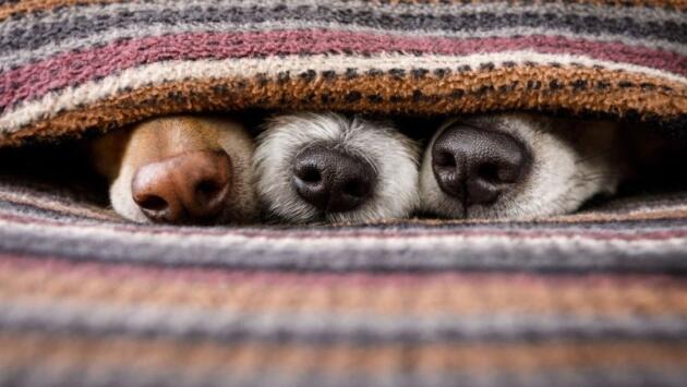 f139f9bdb8e71ca6eb886bb95d94bdb0 1 Економічні новини - головні новини України та світу