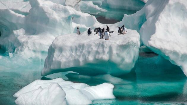 f777e92238c8fc0cdd347a3f83ffdb49 Економічні новини - головні новини України та світу