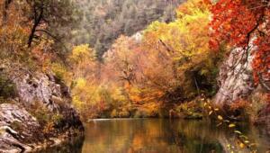 foto igor k Економічні новини - головні новини України та світу