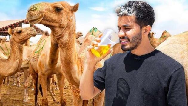 gqbiudevdxzij4fwzv7biz21wk3zoozi Економічні новини - головні новини України та світу