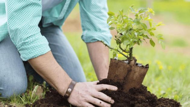 image 689ceefc969887.83595143 Економічні новини - головні новини України та світу