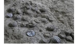 izobrazhenie viber 2025 09 11 14 54 59 795 Економічні новини - головні новини України та світу