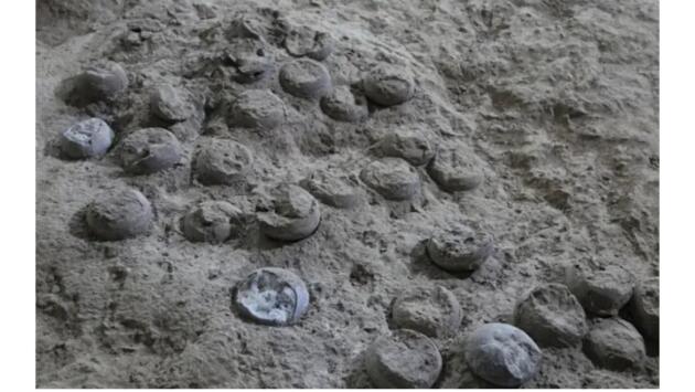 izobrazhenie viber 2025 09 11 14 54 59 795 Економічні новини - головні новини України та світу