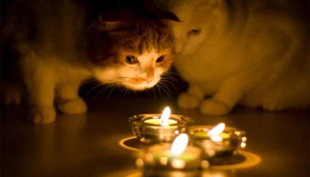 kyotb5dxaxw9ruo6onglu1mnthvuktyg Економічні новини - головні новини України та світу