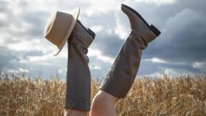 pexels alena 33919183 Економічні новини - головні новини України та світу