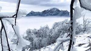 pexels artemmeletov 11076097 Економічні новини - головні новини України та світу