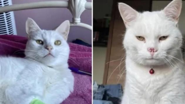 snimok ekrana 2025 09 07 v 14.30.08 Економічні новини - головні новини України та світу