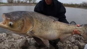 0bbb5b1361815a24b0148245d4c87329 1 Економічні новини - головні новини України та світу