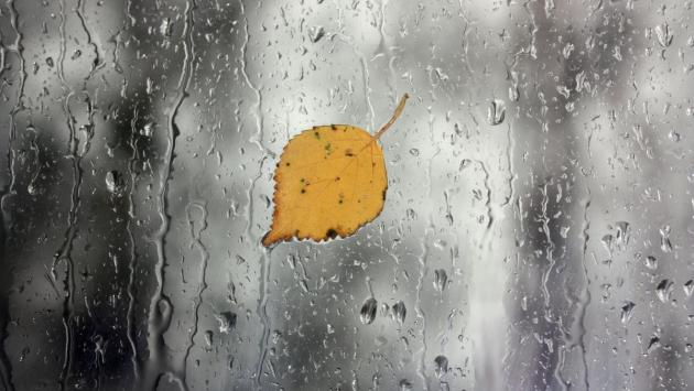 1601447562 4744 Економічні новини - головні новини України та світу