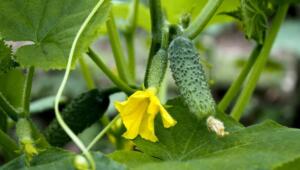 1710598075 1773 Економічні новини - головні новини України та світу