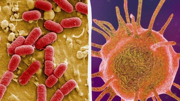 1737826381 8101 Економічні новини - головні новини України та світу