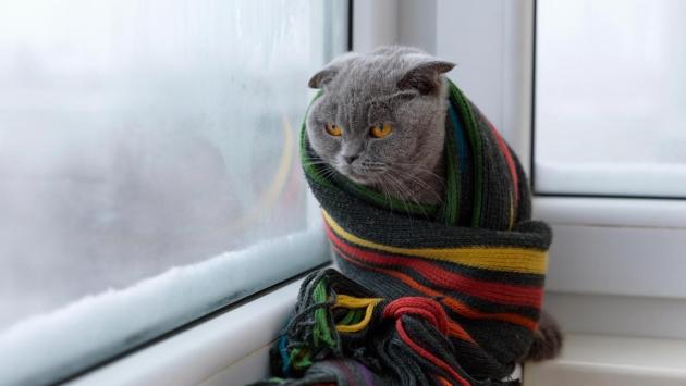 1739785879 4918 Економічні новини - головні новини України та світу