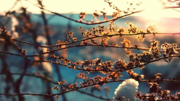 1740995650 1089 large Економічні новини - головні новини України та світу