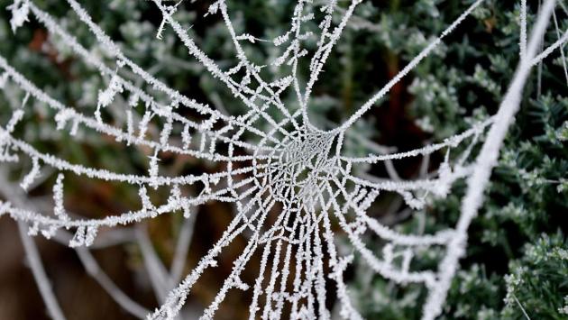 1757770055 3361 Економічні новини - головні новини України та світу