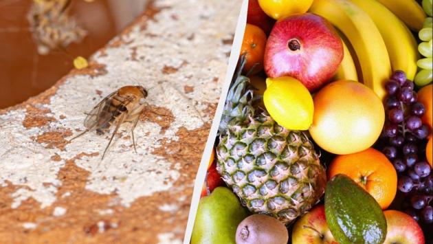 1759995912 5676 Економічні новини - головні новини України та світу