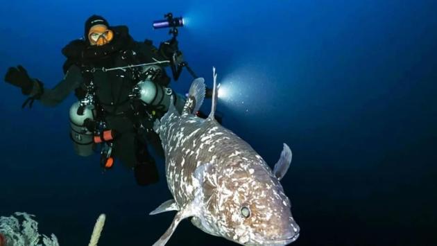 1760118881 2289 Економічні новини - головні новини України та світу