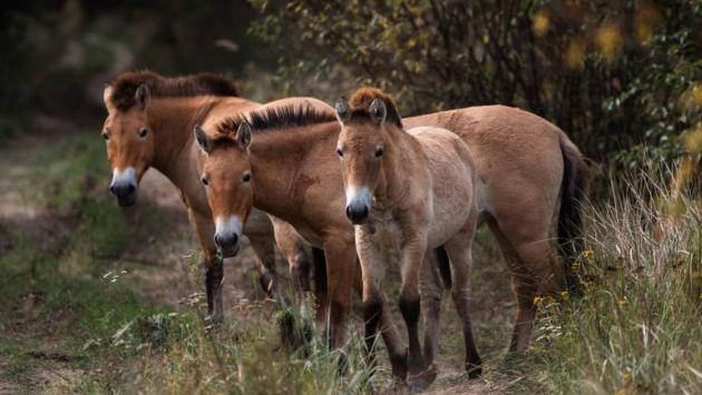 1760253839 8875 Економічні новини - головні новини України та світу