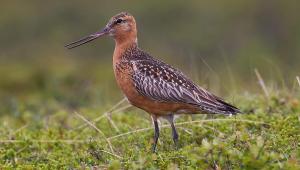 1760743508 2649 Економічні новини - головні новини України та світу