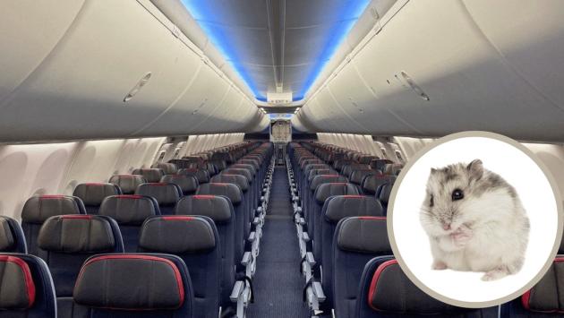 1e2954feadb17654a0665cc7fc5cbc2a Економічні новини - головні новини України та світу