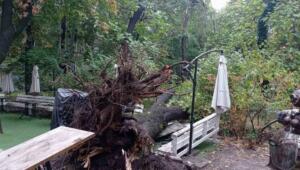 1e7904038ef9b0eeb37d6574d5d09235 Економічні новини - головні новини України та світу