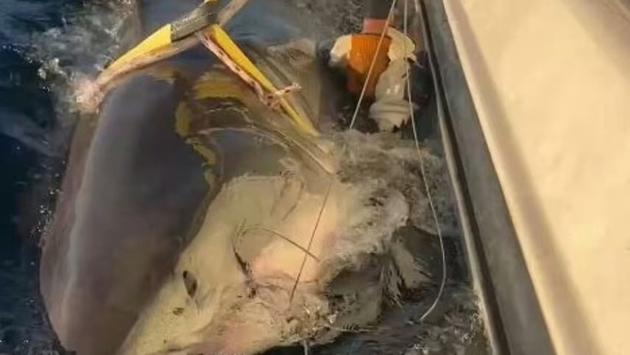 20a5a1f527cdfc82951ebea6a04934e7 1 Економічні новини - головні новини України та світу