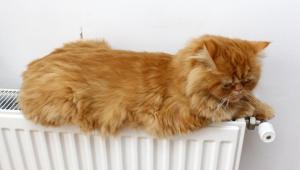 25injsuqqtmztclkpz9qtmrigc08cfd9 Економічні новини - головні новини України та світу