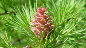 261898f45dc0607273b2475acf6dd9da Економічні новини - головні новини України та світу