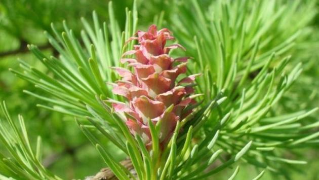 261898f45dc0607273b2475acf6dd9da Економічні новини - головні новини України та світу