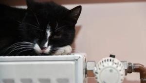 3u7ow5gplkwkxkv0nm7zffocaieoq5ww Економічні новини - головні новини України та світу