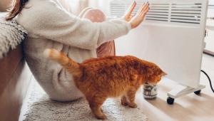 4f3c4186fa2b1af42e3c5413df76d2fb Економічні новини - головні новини України та світу