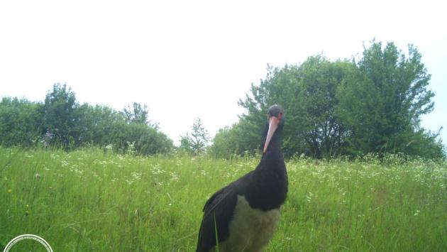 560585123 1228036009361712 1103741036493117973 n Економічні новини - головні новини України та світу