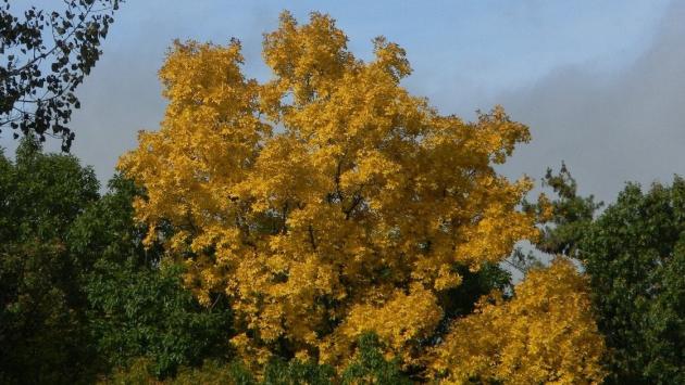 56a388f599b5cfaa20f1da3378b36da2 Економічні новини - головні новини України та світу