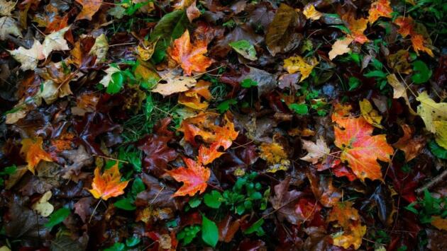 62ebe817244dca8ff9533313e71efbfc Економічні новини - головні новини України та світу