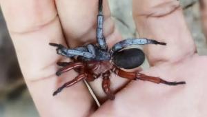 6912986eb49bb68ff792425997bb9aa7 Економічні новини - головні новини України та світу