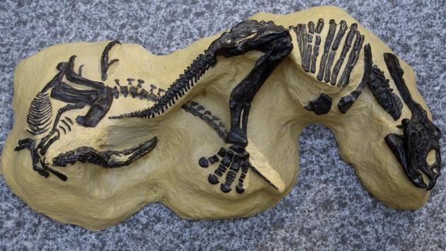 6e1a7b1c010c6a1108fc2c80c34f696c Економічні новини - головні новини України та світу