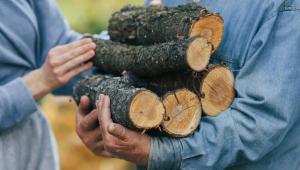 6qe9ngzfmqagcopikqjoe6u0zeu7qctv Економічні новини - головні новини України та світу