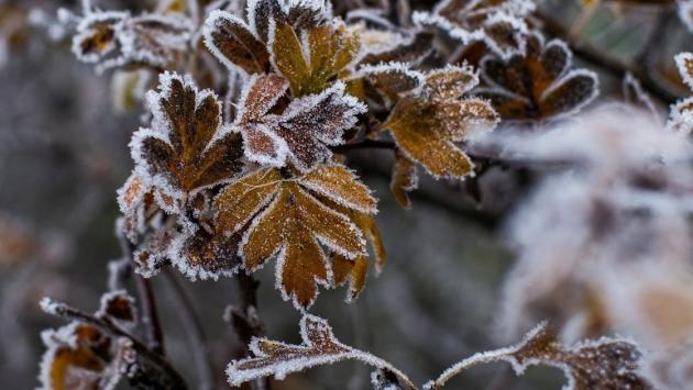 71eb7dedddc870000dac18f463031a88 Економічні новини - головні новини України та світу