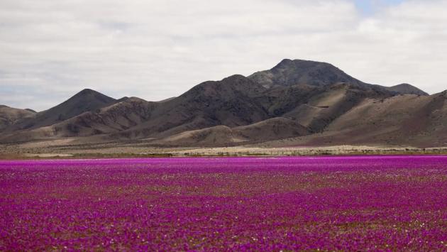 899120 src Економічні новини - головні новини України та світу